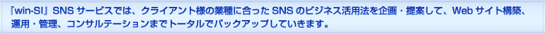 [win-SI]SNSのASPサービスでは、クライアント様の業種に合ったSNSのビジネス活用法を企画・提案して、Webサイト構築、運用・管理、コンサルテーションまでトータルでバックアップしていきます。